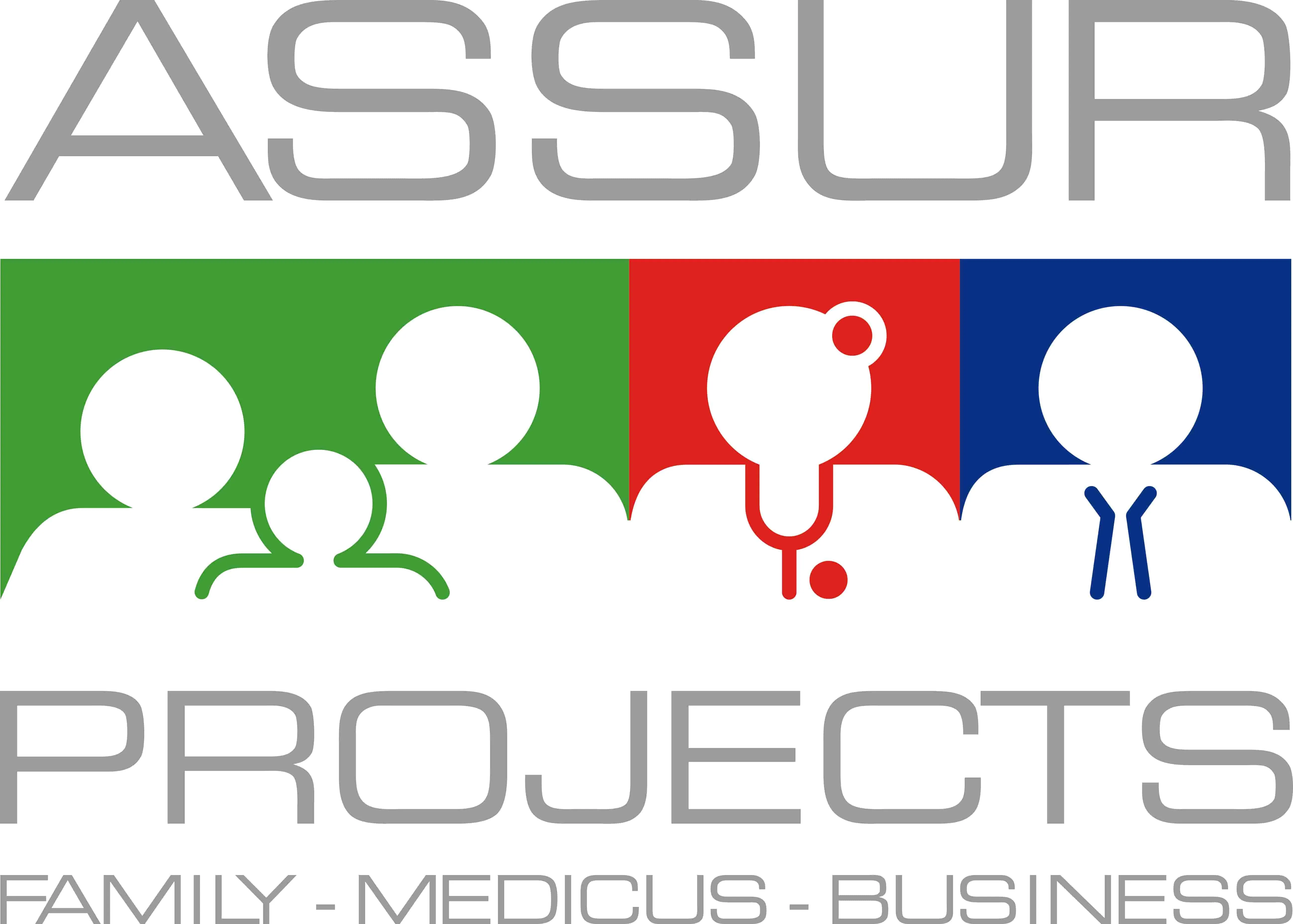 ASSUR - PROJECTS BVBA - logo