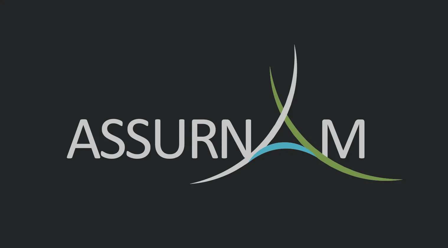 Assurnam Srl - logo