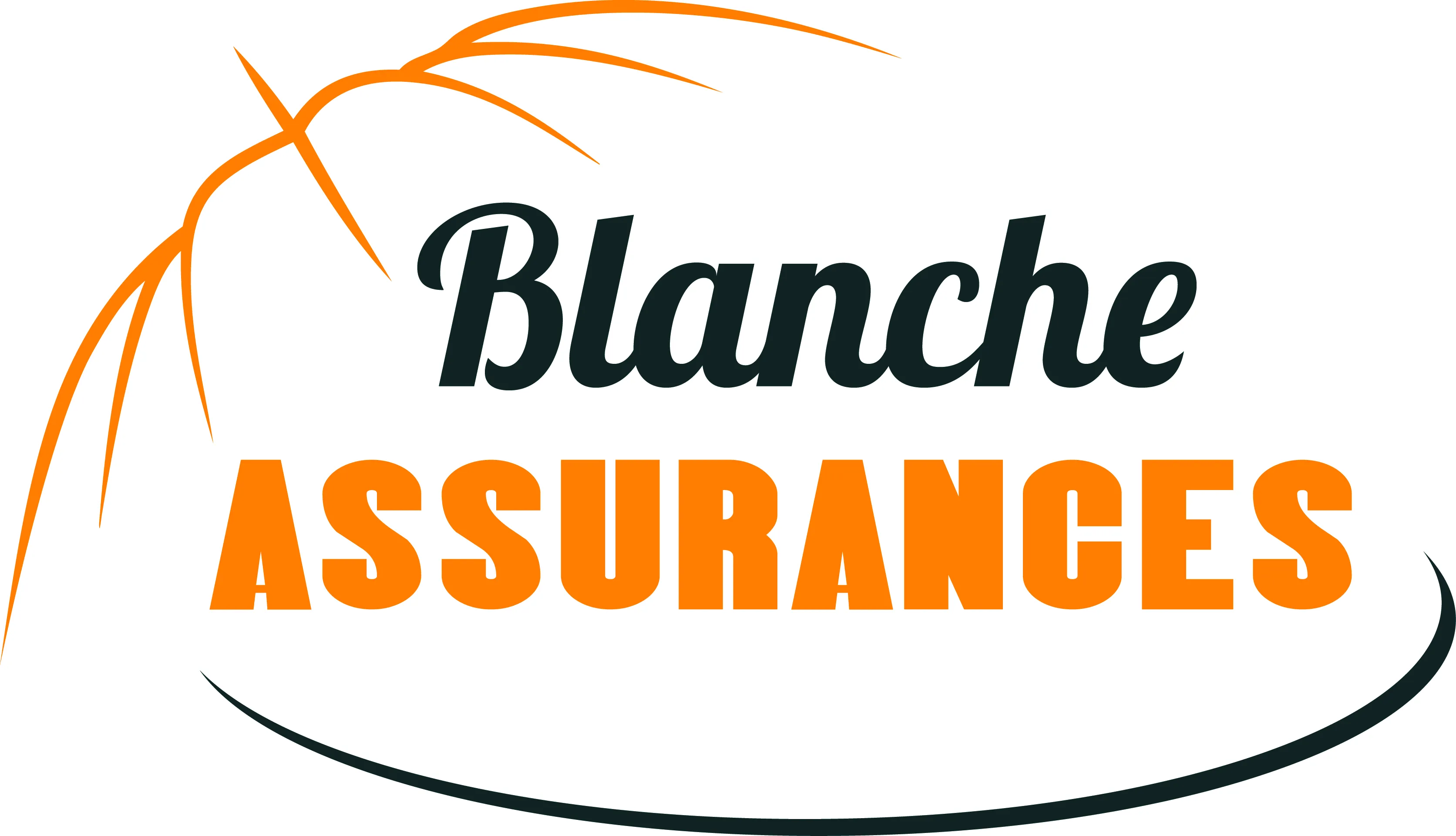 BLANCHE ASSURANCES - logo