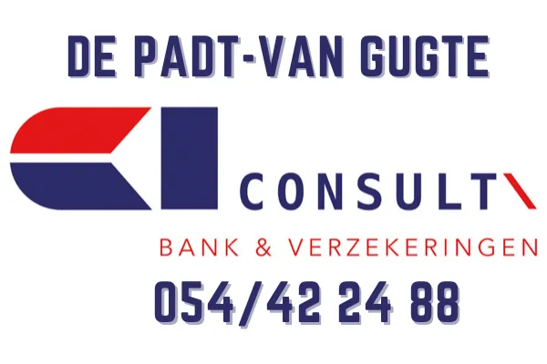 C & I Consult - logo