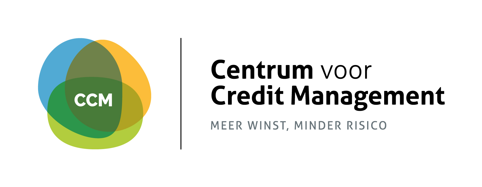 CCM BV - logo