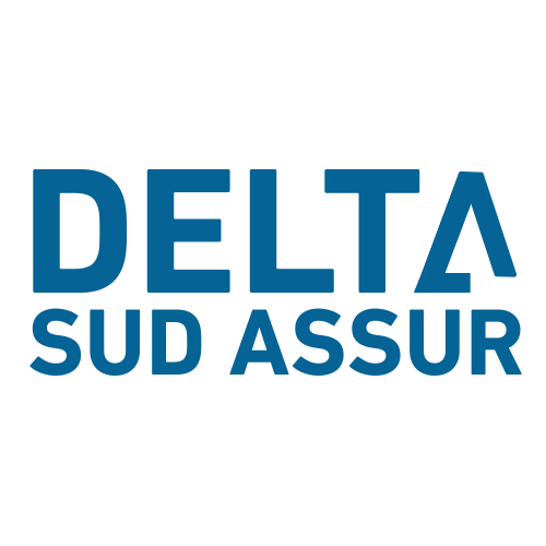 Delta Sud Assur - logo