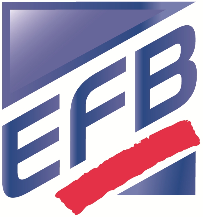 EFB BULLINGEN SA - logo