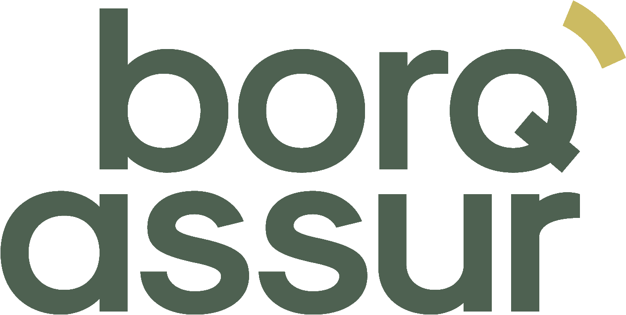 BORQ’ASSUR - logo