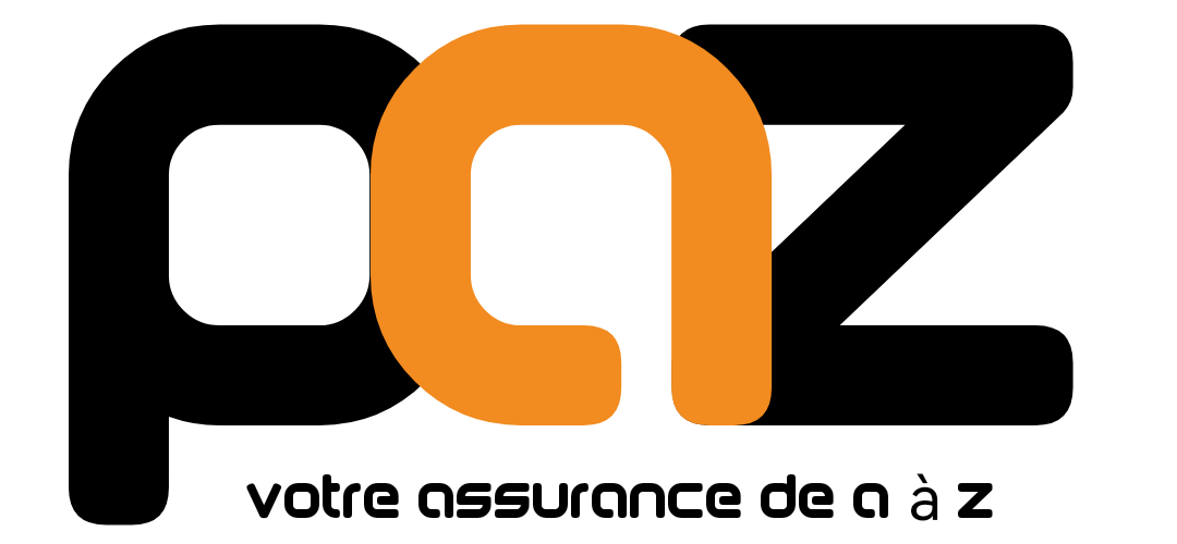PAZ CONSULT - logo