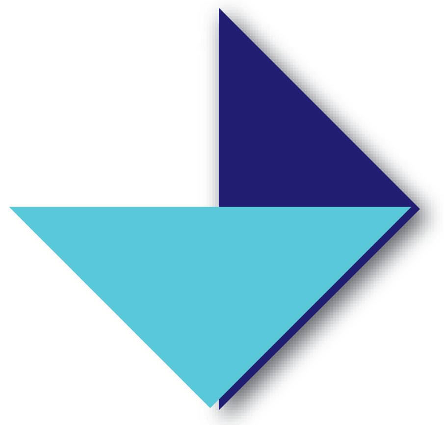 VLAEMINCK-DE WILDE BVBA - logo