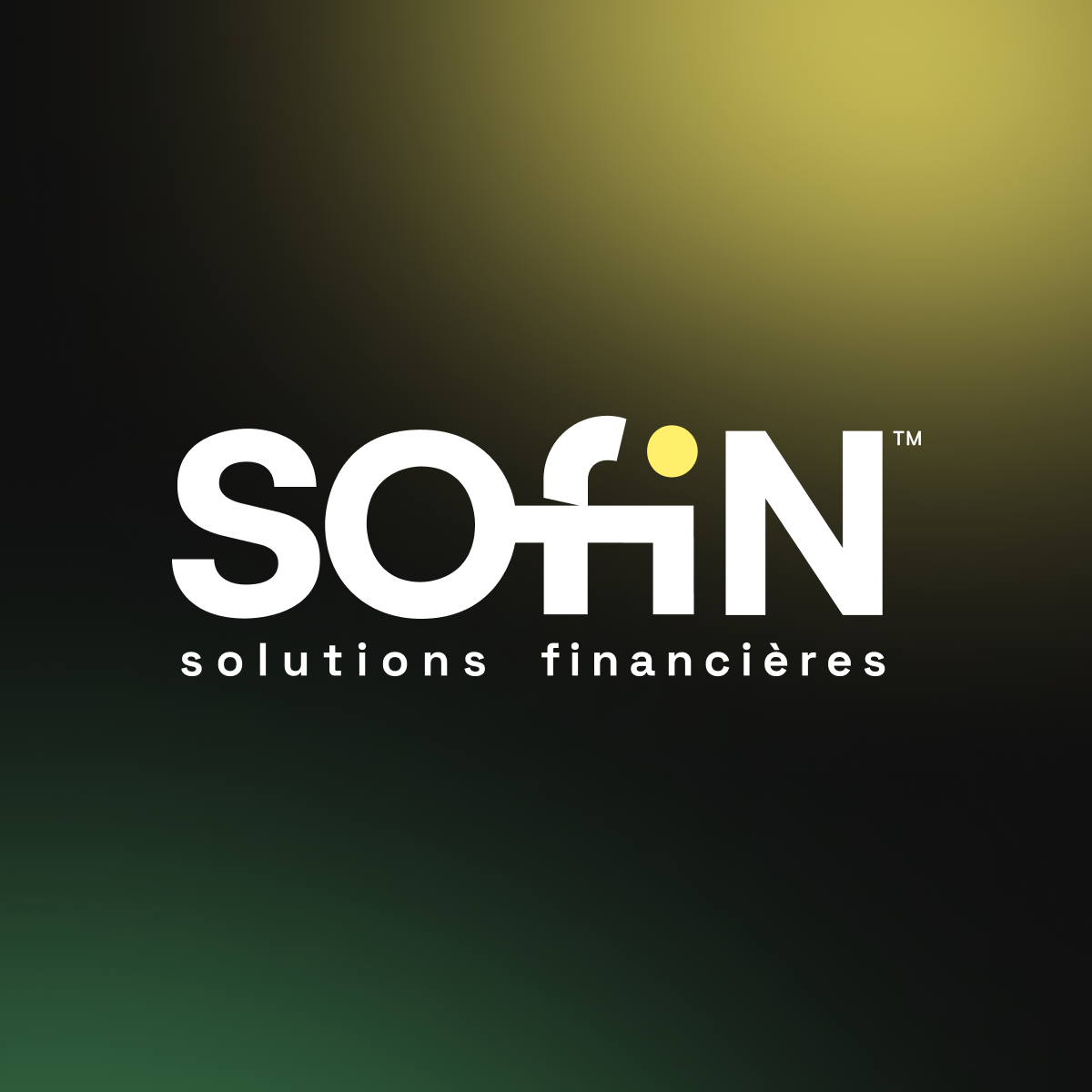 Sofin - logo