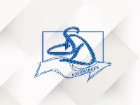 STEPHANE DEMOULIN ASSURANCES SRL - logo