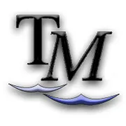 TWINSTON MANAGEMENT SRL - logo