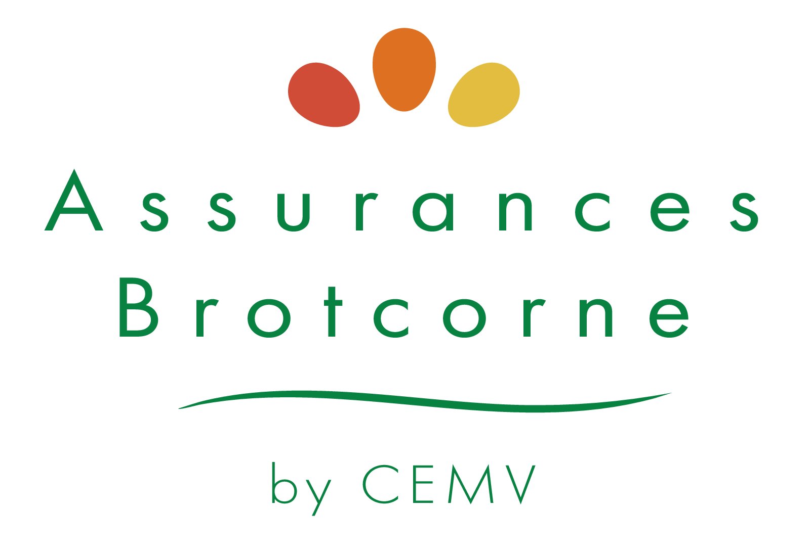 CEMV ASSURANCES - logo